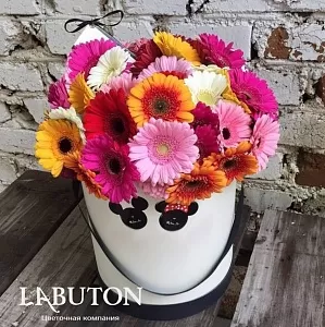 Герберы в коробке Герберы в коробке